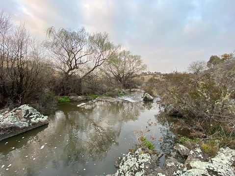 Horizontal landscape photo of a slow flowing river with leafless willow trees, native plants, rocks, lichen, shrubs and grasses growing along the riverbanks under an early morning dawn sky in the New England countryside near Armidale in NSW. Reflections of sky and trees in the water can be seen