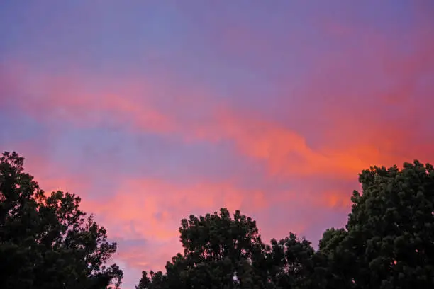 Low angle view of a colorful evening sky with red and purple clouds