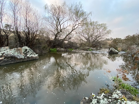 Horizontal landscape photo of a slow flowing river with leafless willow trees, native plants, rocks, lichen, shrubs and grasses growing along the riverbanks under an early morning dawn sky in the New England countryside near Armidale in NSW. Reflections of sky and trees in the water can be seen