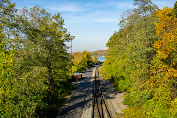 istock view of straight parallel railroad tracks stretching out surrounded with lush bright green trees and bushes copy space in blue sky 1285354031