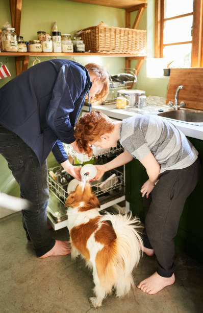 Two boys packing their dishwasher at home while doing chores Two young brothers packing the dishwasher in their family kitchen while doing chores around the house dog dishwasher stock pictures, royalty-free photos & images