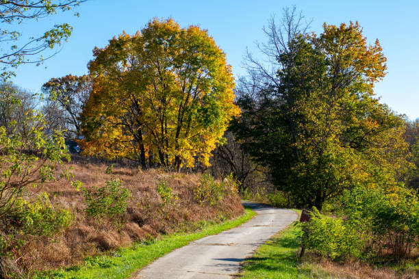 istock A Pathway Leading Into an Autumn Forest at Valley Forge National Historical Park 1285355883