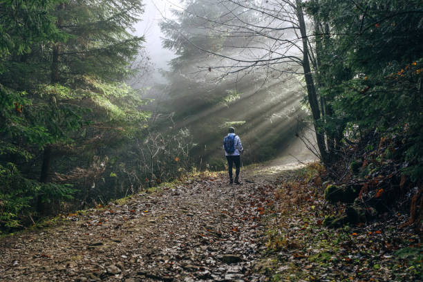 istock Woman with backpack have a forest walk using a  trekking poles. She walking by the forest path with trees tunnel and magical sun beams shinning through the branches. Active people concept image. 1285357279