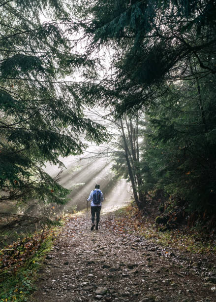 istock Woman with backpack have a forest walk using a  trekking poles. She walking by the forest path with trees tunnel and magical sun beams shinning through the branches. Active people concept image. 1285357280