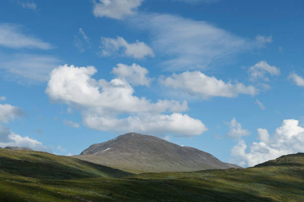 パジェランタレデントレイル、ラップランド、スウェーデンからダレルオパルからの山の景色 - valley tree remote landscape ストックフォトと画像