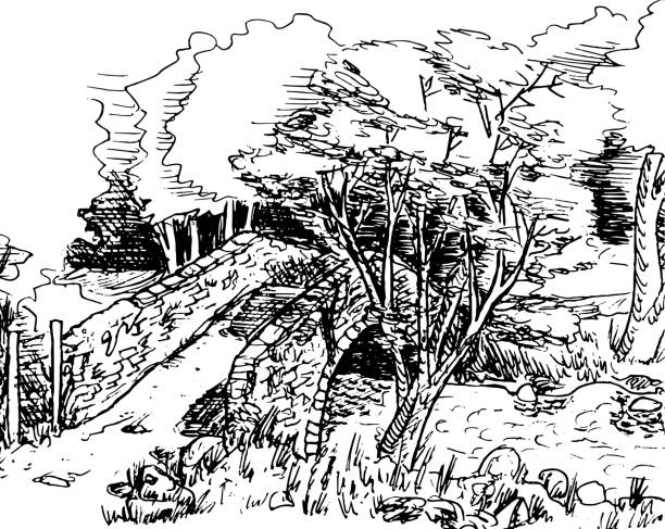 charmante steinbrücke mit einem dichten grünen wald am lake district. eine bergregion mit herrlicher landschaft in mittelengland. tintenzeichnung. - forest woods hiking dirt road stock-grafiken, -clipart, -cartoons und -symbole