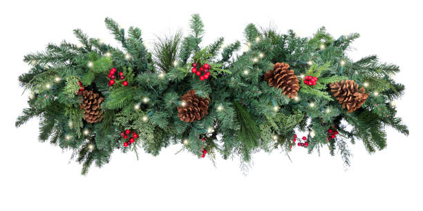 Photo of Christmas Pine Garland with Lights Isolated on White