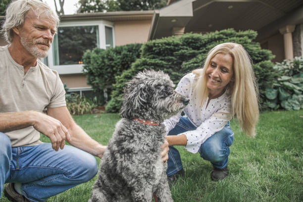 istock Couple and Their Dog 1285369626