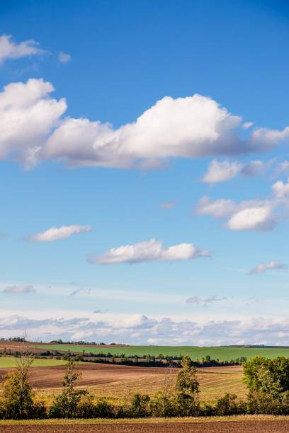 istock Autumn pumpkin field and beautiful sky with white clouds. Austria 1285370079