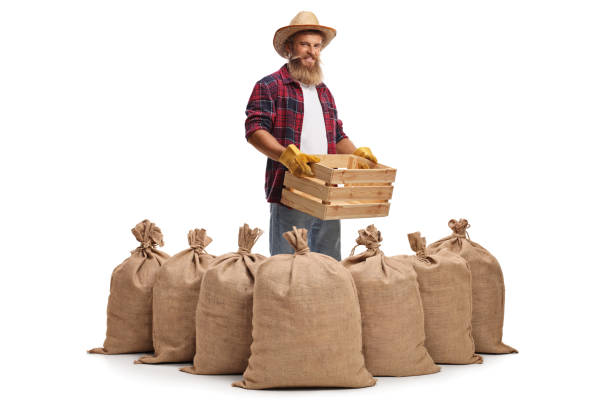 istock Cheerful farmer with an empty wooden crate and sacks on the floor 1285373679