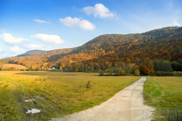 istock Rural landscape with forests at autumn time 1285374738