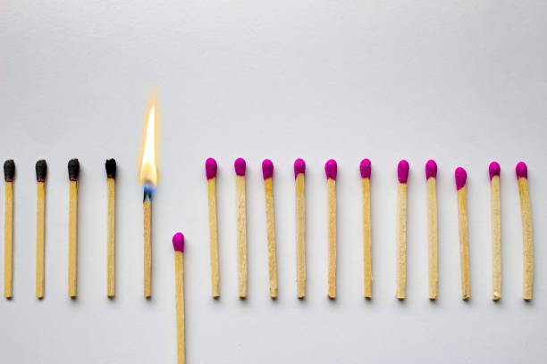 Burned and Lit matches next to a row of unlit matches on a white background. Concept: Stop destruction or spread. Burned and Lit matches next to a row of unlit matches on a white background. Concept: Stop destruction or spread. unlit match stock pictures, royalty-free photos & images
