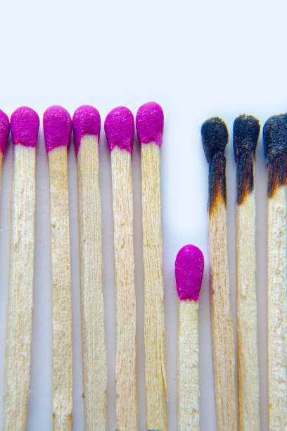 vertical close up burned and lit matches next to a row of unlit matches on a white background. concept: stop destruction or spread. - brightly lit audio imagens e fotografias de stock