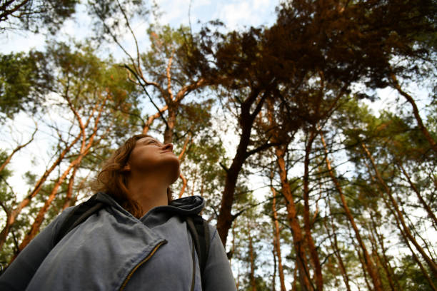 istock Tourist with a backpack and a hood at evergreen pine forest 1285381009