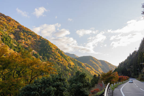 istock Road facing the autumnal mountains illuminated by the setting sun 1285381328