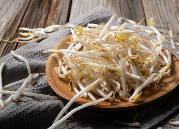 istock Bean sprouts in a wooden plate placed against the background 1285396881