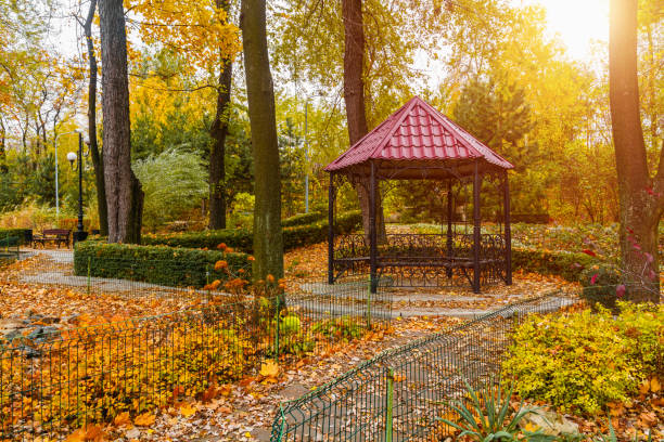 istock Gazebo in the autumn park with sunlight 1285401932