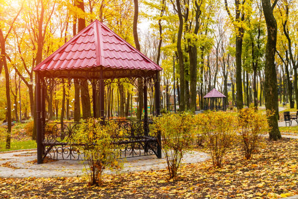 Gazebo in the autumn park with sunlight