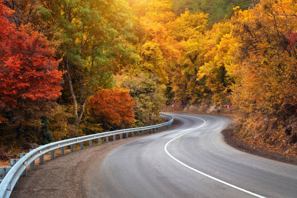 istock Autumn road and sunny rays. 1285403497