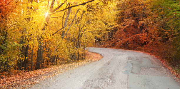 istock Autumn road and sunny rays 1285403528