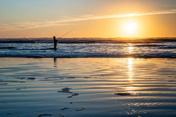 istock Fishing in the Sunset by the Pacific Ocean Shore 1285407912