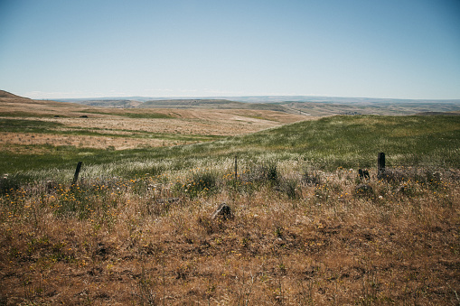 Landscape photos with copy space of a dry grasslands area in eastern Washington Sate.