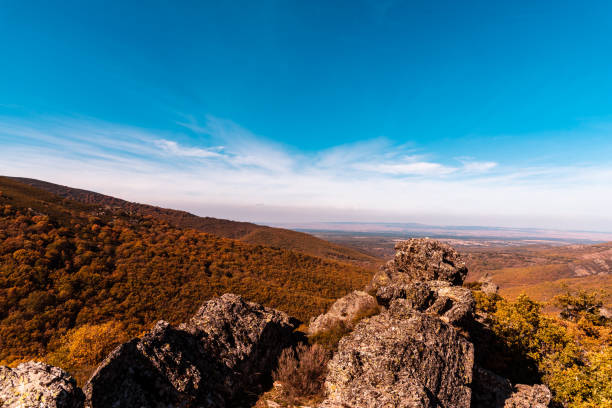 istock Beech forest and mountain in Autumn time a sunny day 1285415406