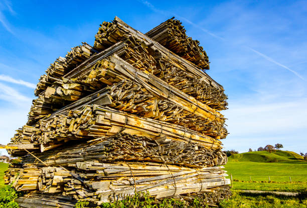 heap of wooden planks - photo