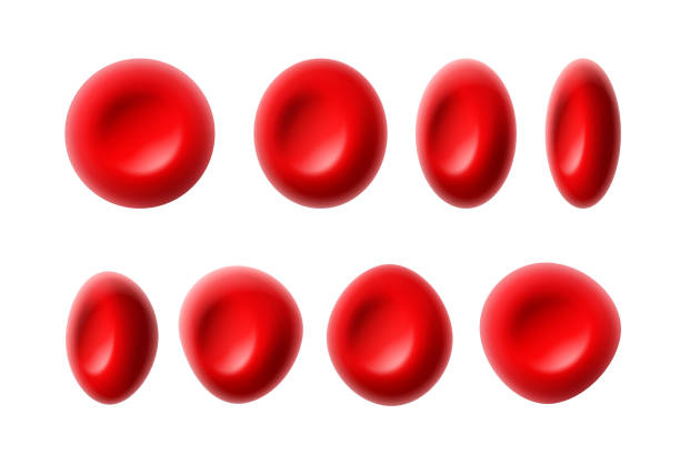 Red blood cells Vector set of red blood cells or erythrocytes isolated on white background red blood cell stock illustrations