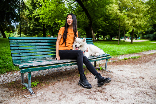 A Chinese girl with her dog samoyed in park enjoying a wonderful day