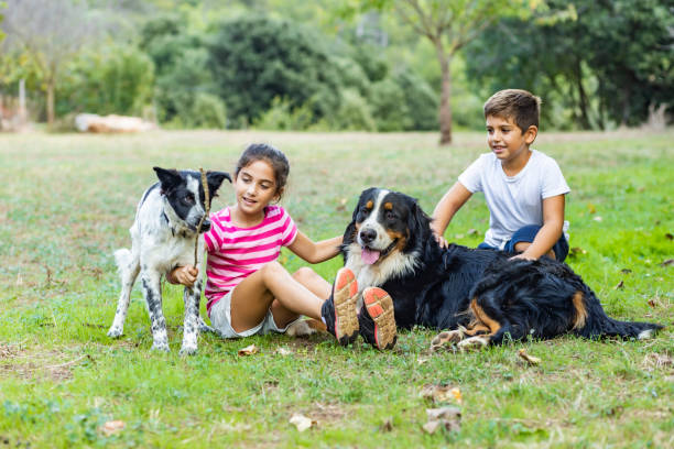 istock Two kids playing with dogs on a field 1285423491