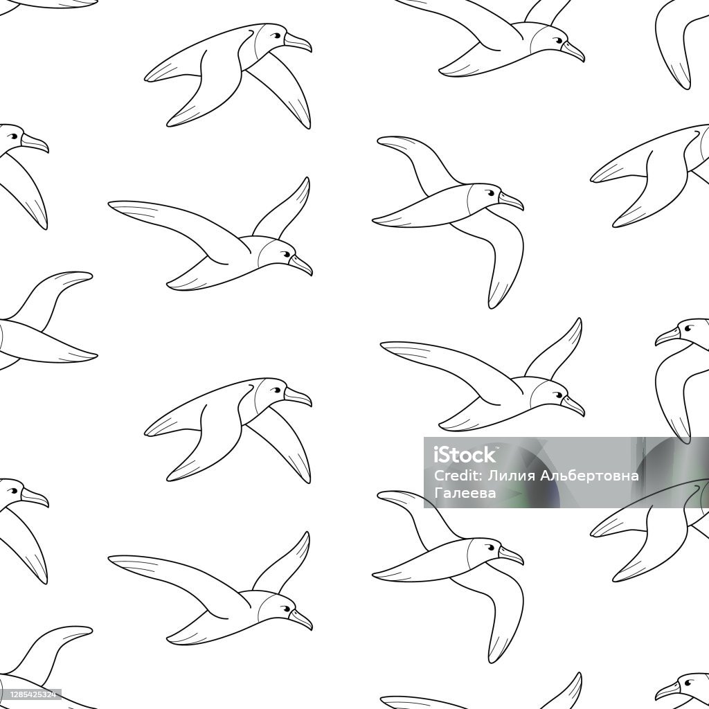 Albatross Pattern Pattern Stock Illustration - Download Image Now - Animal Pattern ...