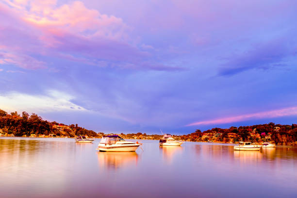 Shot in Como, New South Wales