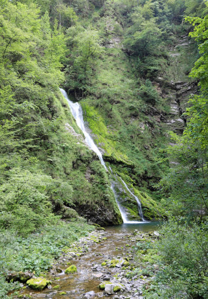 istock waterfall in the middle of unspoiled nature that flows between t 1285431653