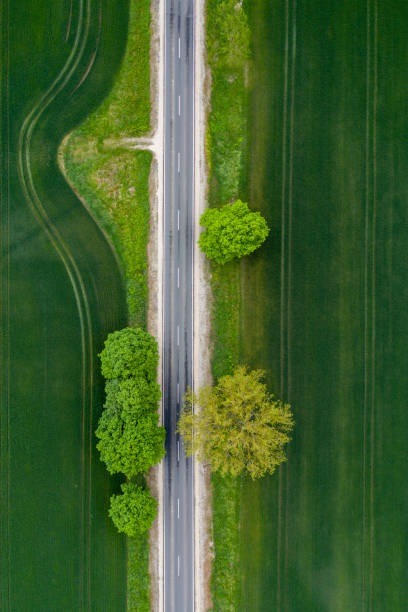 istock top view straight way in summer 1285436781