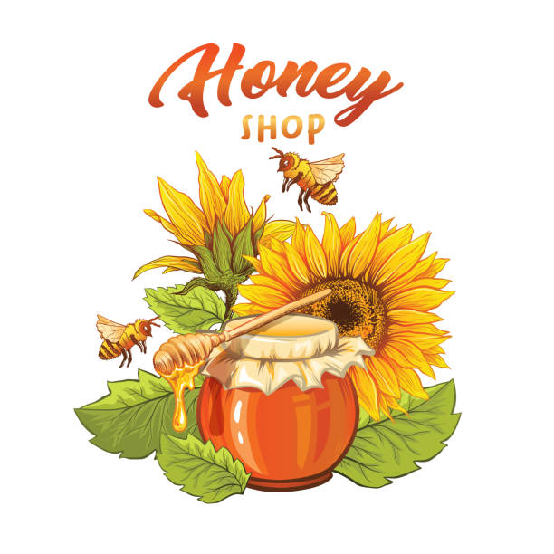 Sunflower honey shop flat banner vector template vector art illustration