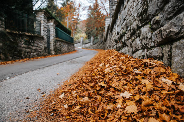 istock Beautiful landscape, trees with green, red and orange leaves. 1285445766