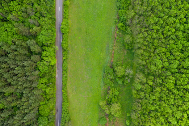 istock top view straight way in summer 1285446369