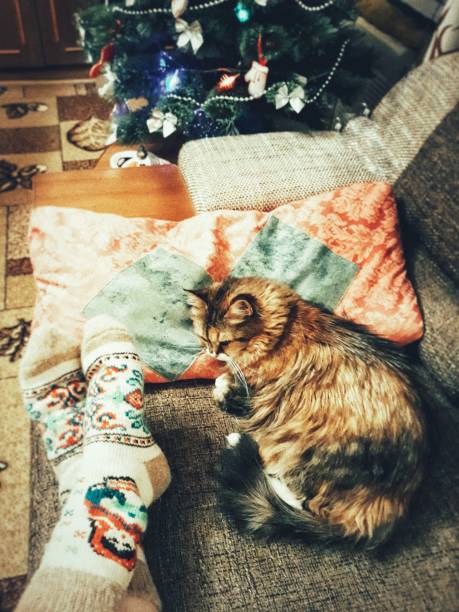 istock waiting for the holiday 1285447153