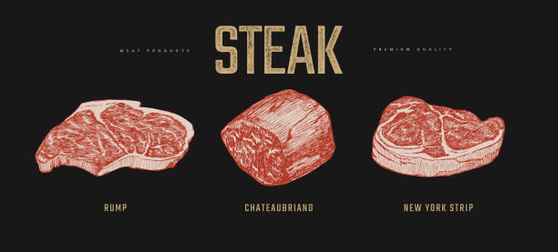 ilustrações de stock, clip art, desenhos animados e ícones de set of slices steaks vector illustration. meat steaks rump, chateaubriand, new york strip. - bife ilustrações