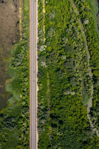 istock aerial view marsh in hungary 1285450645