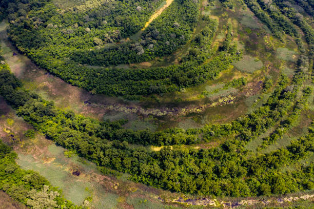 istock aerial view marsh in hungary 1285450652