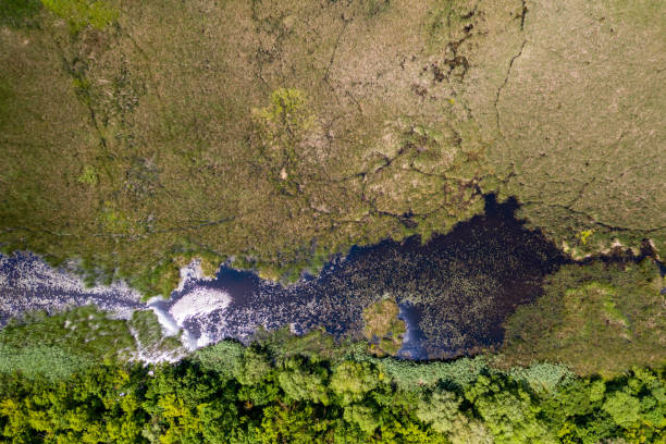 istock aerial view marsh in hungary 1285450663