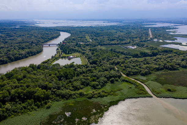 istock aerial view marsh in hungary 1285450741