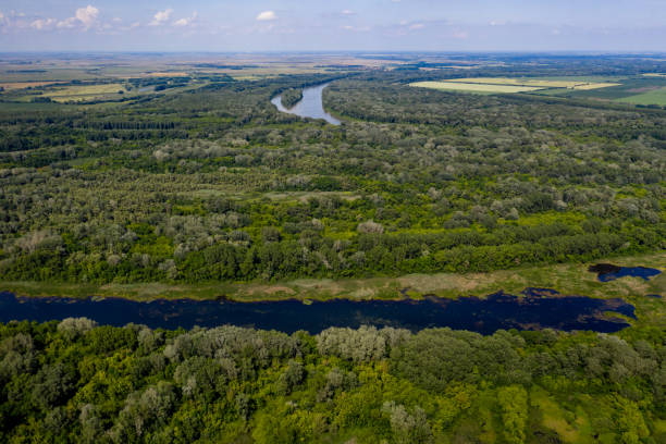 istock aerial view marsh in hungary 1285450746
