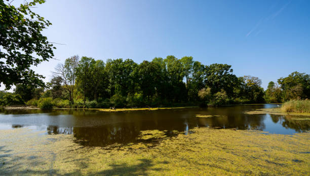 istock Scenic view of a lake against sky 1285451969