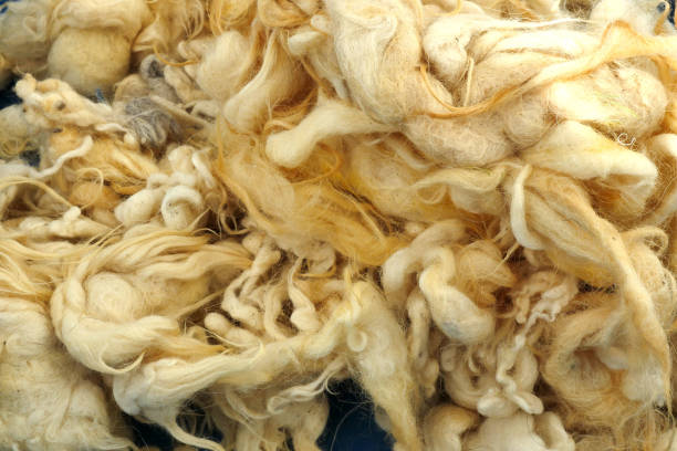 istock pure natural sheep wool for healthy pillow and quilt, 1285455459