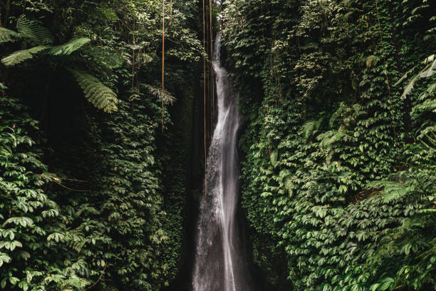 istock Beautiful waterfall in tropical rainforest. 1285455799