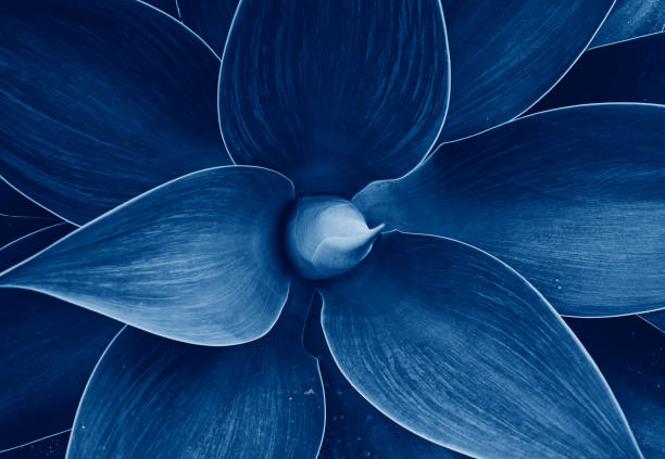 istock Floral ultra violet abstract natural floral pattern 1285458621