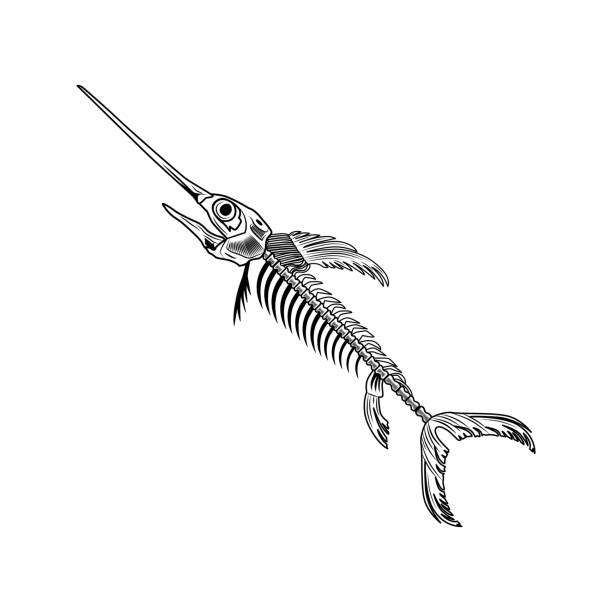 Fish Skeleton Vector Art Graphics Freevector Com